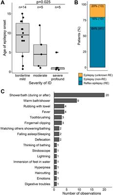 The different clinical facets of SYN1-related neurodevelopmental disorders